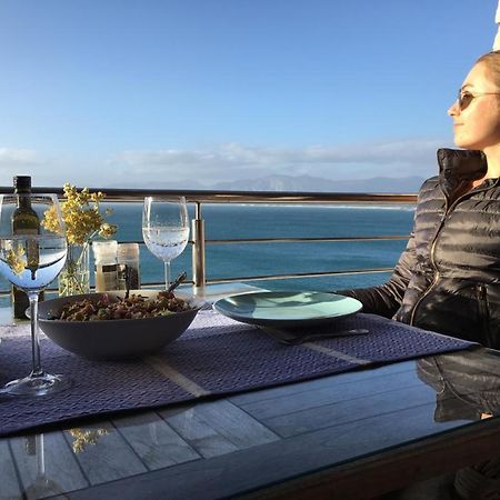 Kleinzee Oceanfront Guesthouse Gansbaai Dış mekan fotoğraf