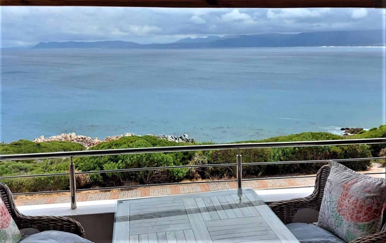 Kleinzee Oceanfront Guesthouse Gansbaai Dış mekan fotoğraf