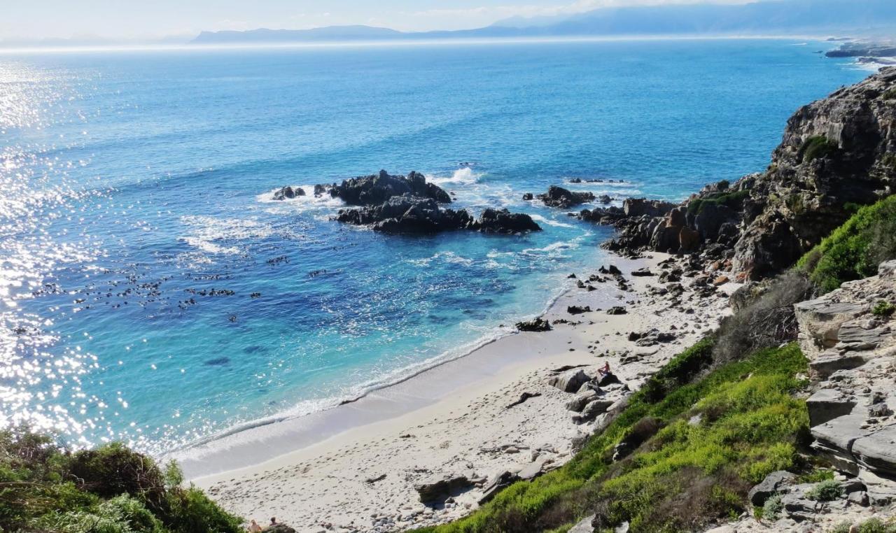 Kleinzee Oceanfront Guesthouse Gansbaai Dış mekan fotoğraf