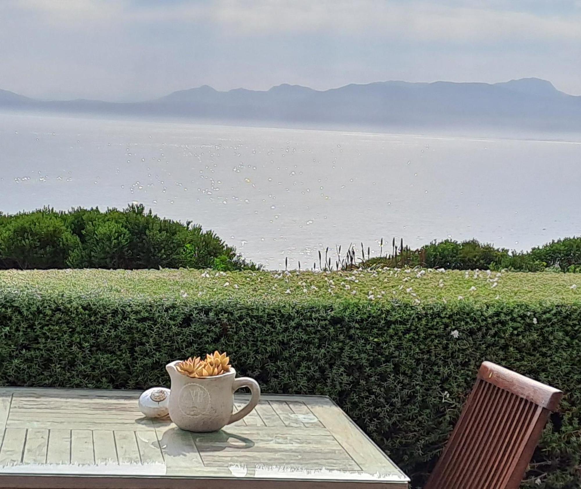 Kleinzee Oceanfront Guesthouse Gansbaai Dış mekan fotoğraf