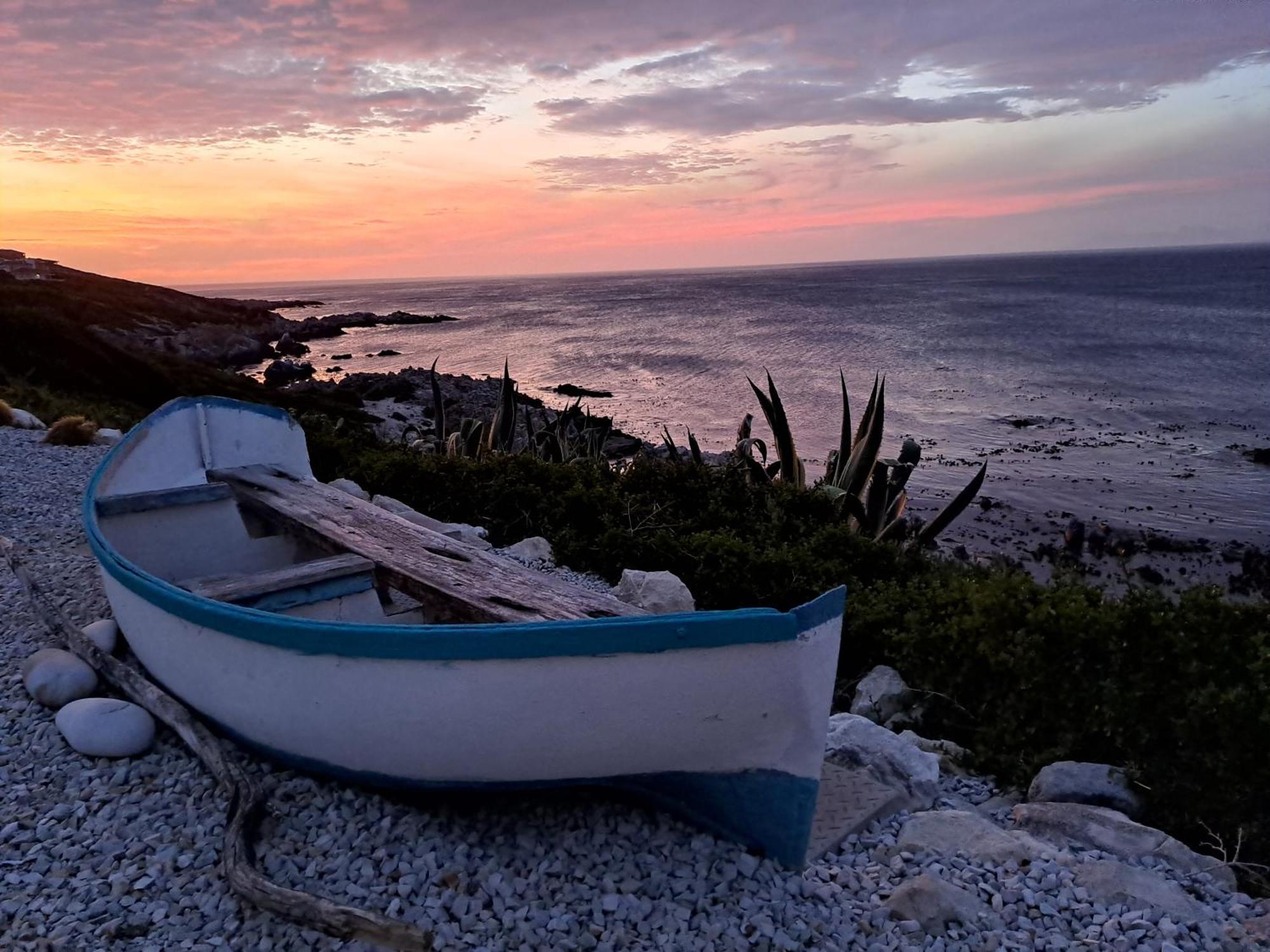Kleinzee Oceanfront Guesthouse Gansbaai Dış mekan fotoğraf