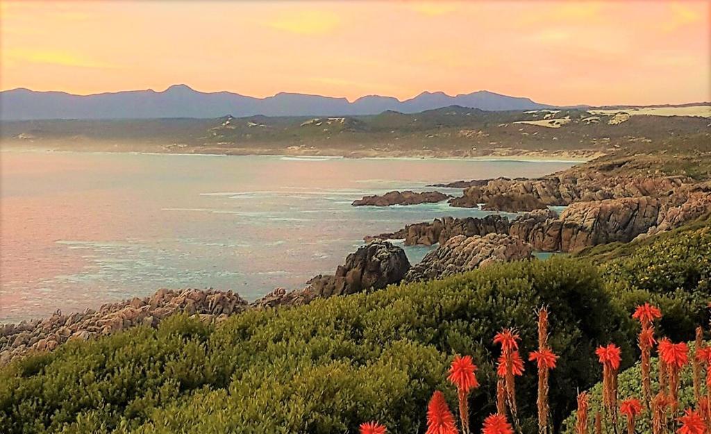 Kleinzee Oceanfront Guesthouse Gansbaai Dış mekan fotoğraf