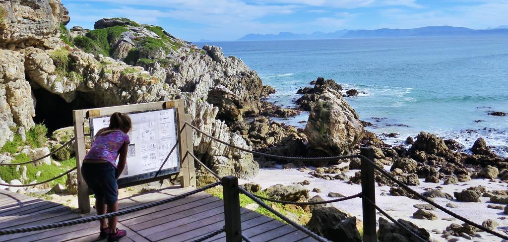 Kleinzee Oceanfront Guesthouse Gansbaai Dış mekan fotoğraf
